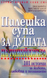 Пилешка супа за душата на тинейджъра