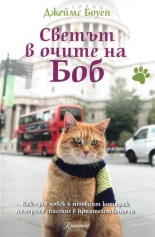 Светът в очите на Боб