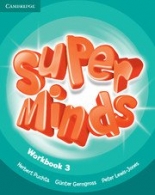 Super Minds Level 3 Workbook