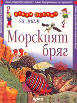 Искам всичко да знам: Морският бряг