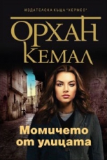 Възмездието, книга 3: Момичето от улицата
