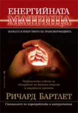 Енергийната матрица