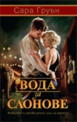 Вода за слонове