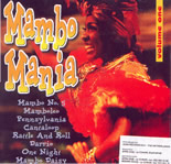 Mambo Mania - 15 Super Hot Mambo Hits