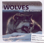 Nature wonders: Wolves in the wilderness