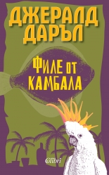 Филе от камбала