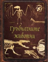 Гръбначните животни