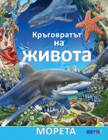 Кръговратът на живота - морета