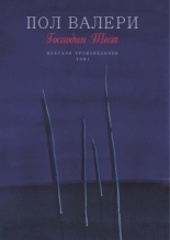 Господин Тест