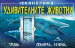 Сканорама. Удивителните животни
